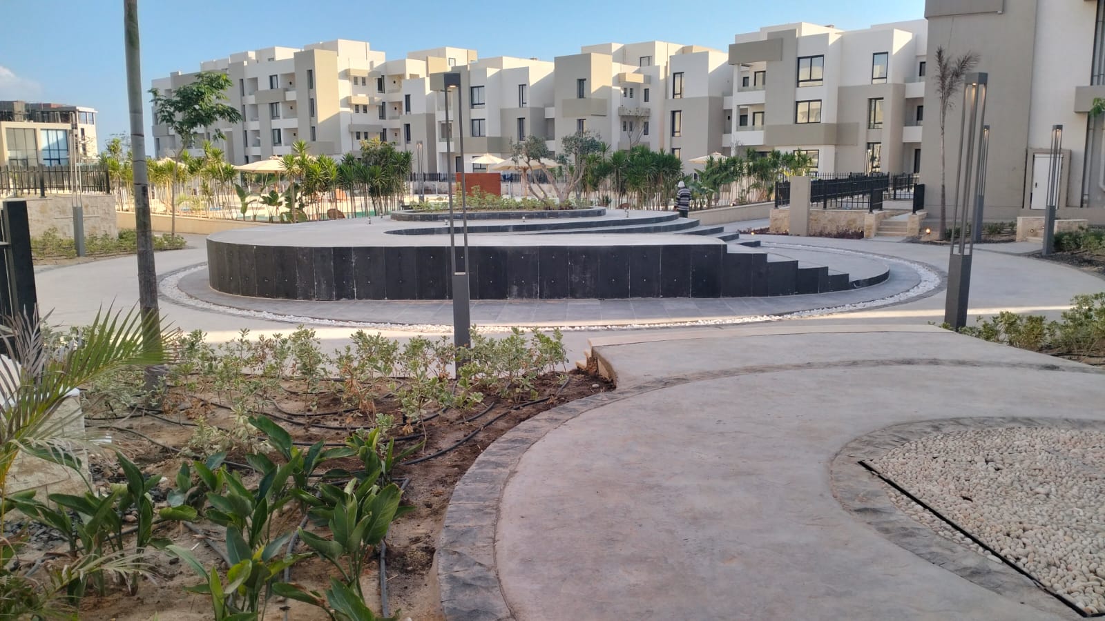 صورة 2